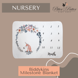 Biddykins Milestone Blanket