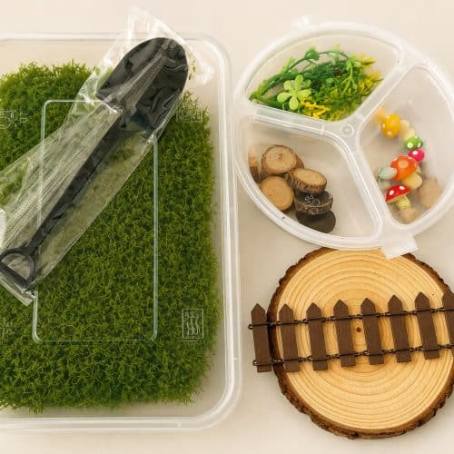 Woodland Fairies Starter Kit